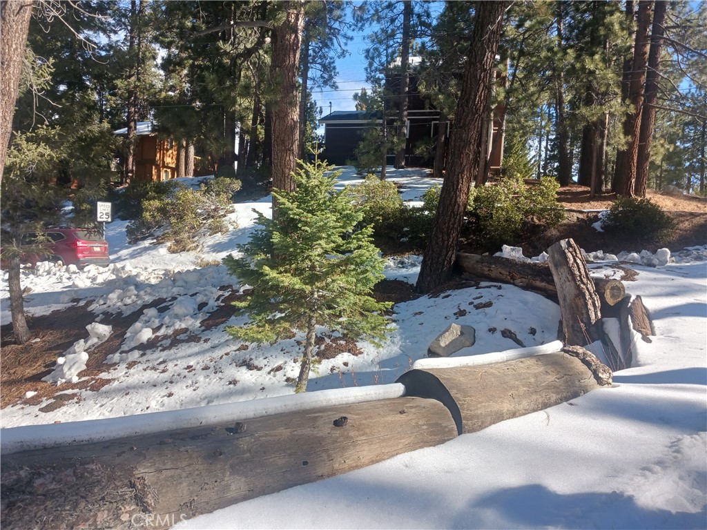0 Big Bear Boulevard Property Photo 8