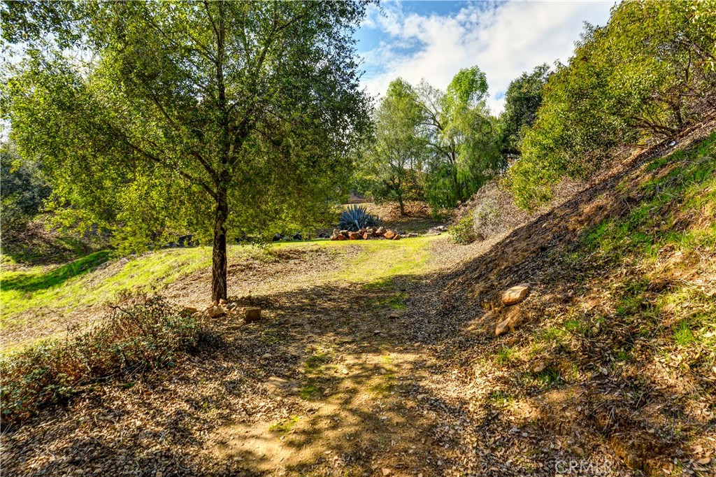 121 Furlong Lane Property Photo 22
