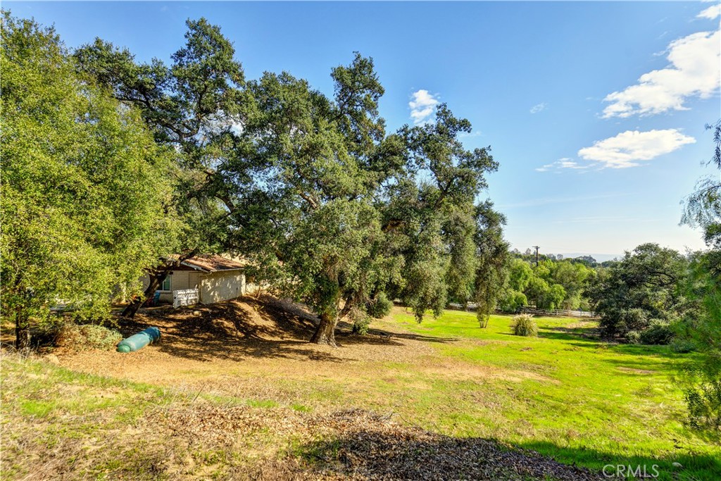 121 Furlong Lane Property Photo 23