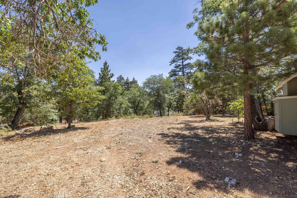 1254 S Sheephorn Road Property Photo 45