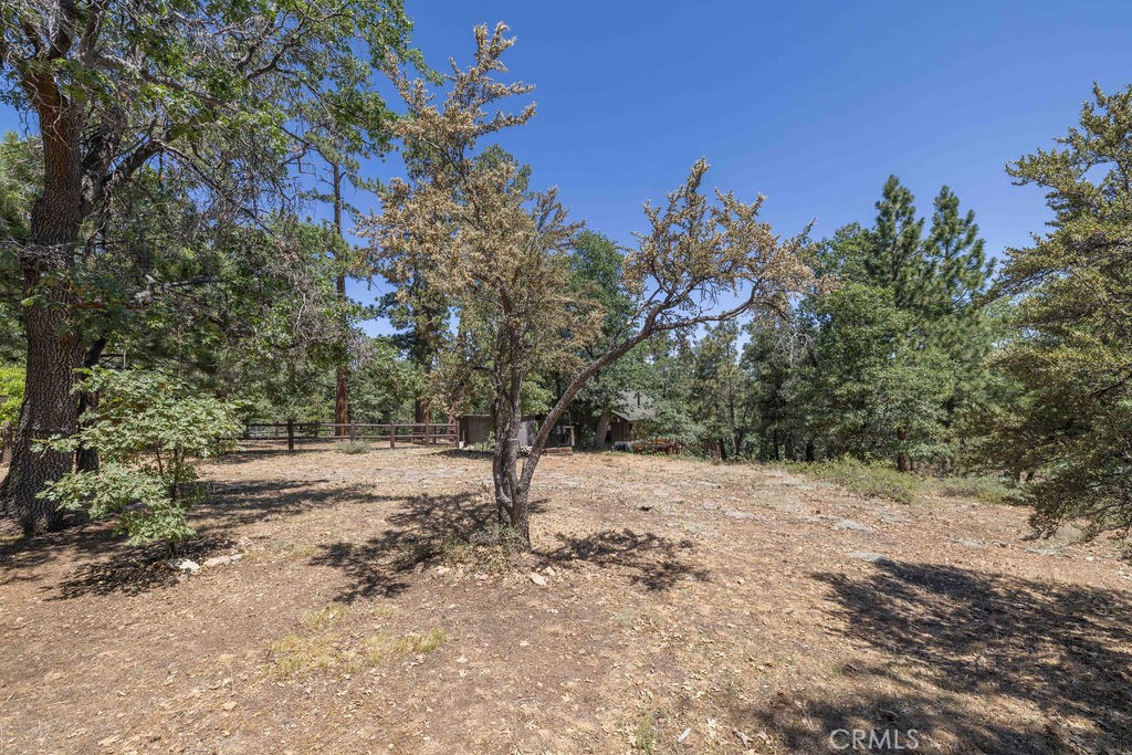 1254 S Sheephorn Road Property Photo 46