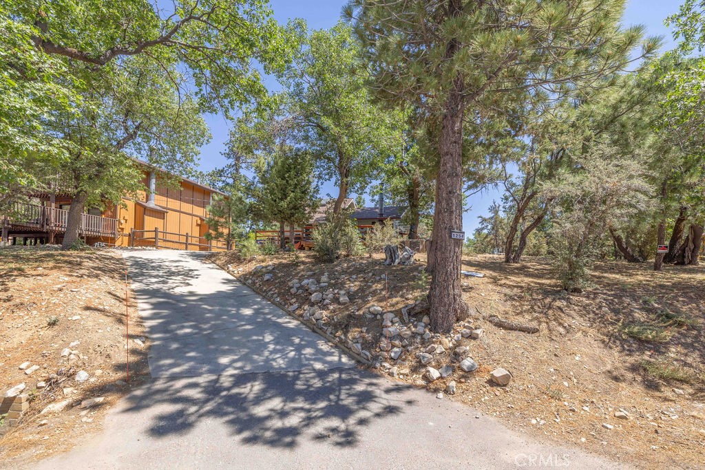 1254 S Sheephorn Road Property Photo 48