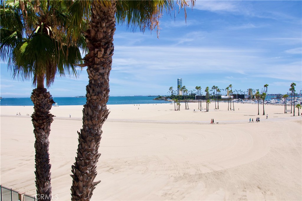 850 E Ocean Boulevard 1506 Property Photo 42