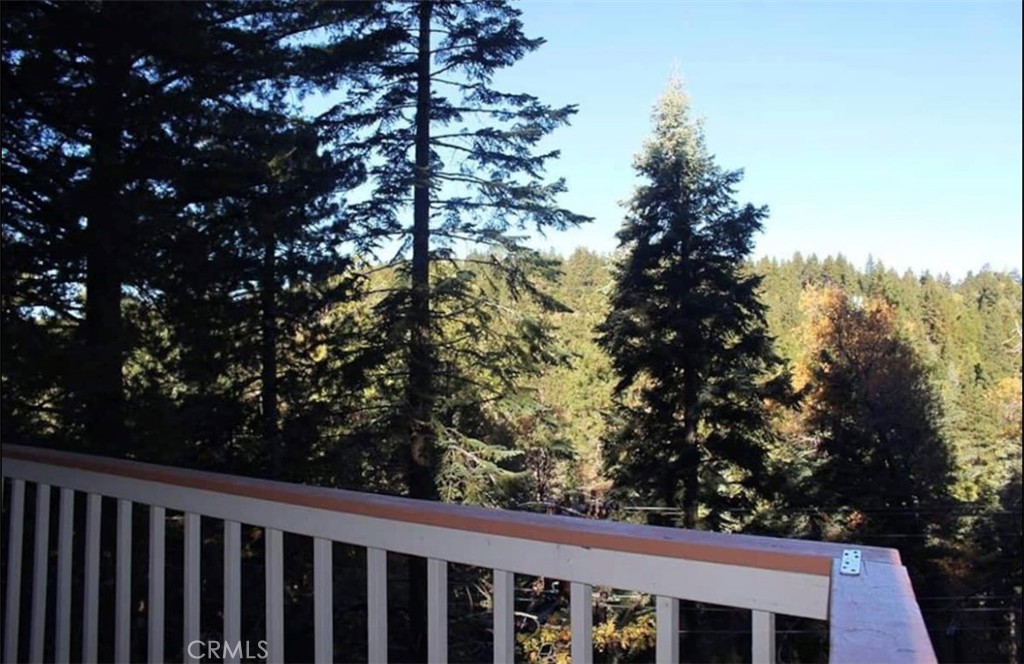 31651 Wagon Wheel Drive Property Photo 15