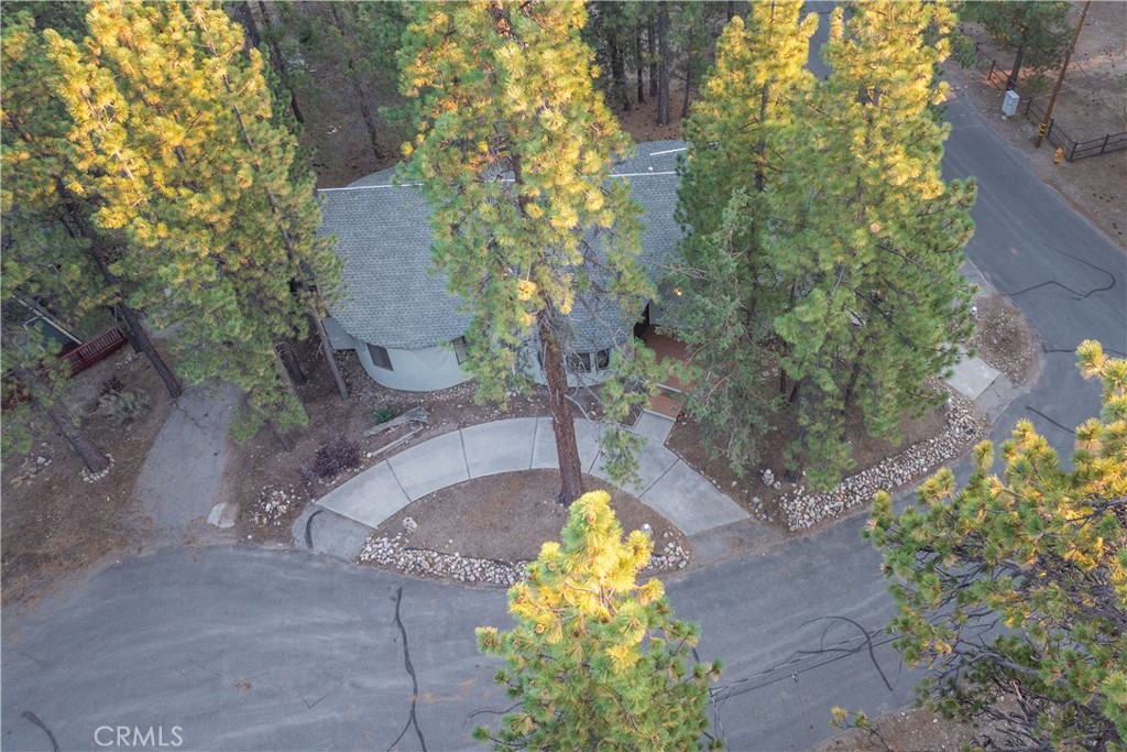 520 Pinewood Court Property Photo 37