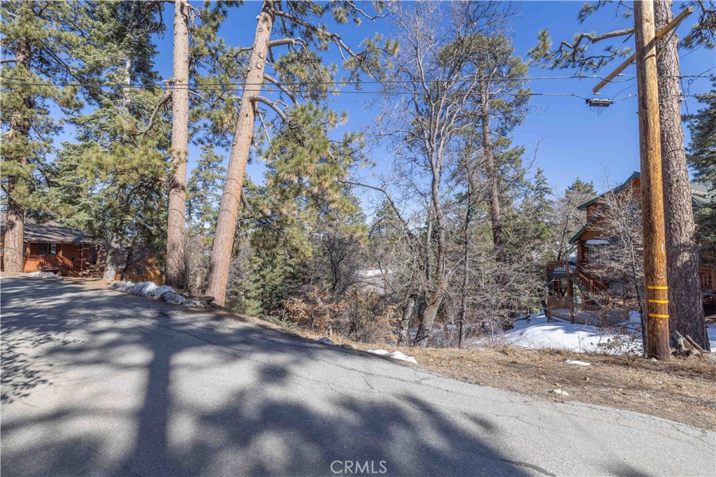 0 Pigeon Road Property Photo 8