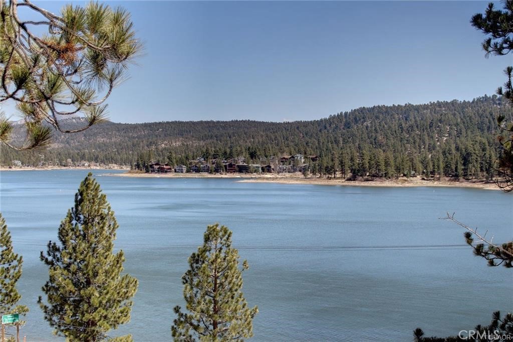 246 Big Bear Boulevard Property Photo 1