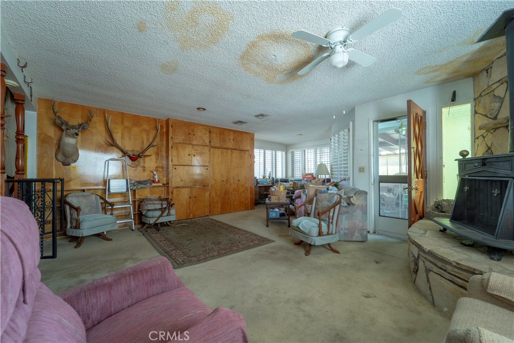217 Dochan Circle Property Photo 13