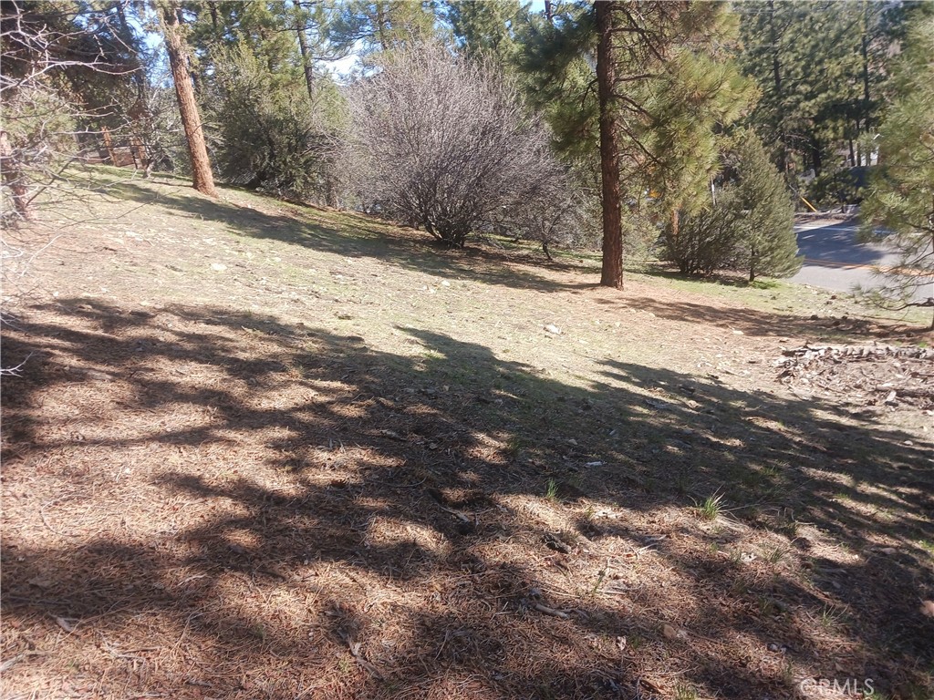 0 Big Bear Blvd Property Photo 1