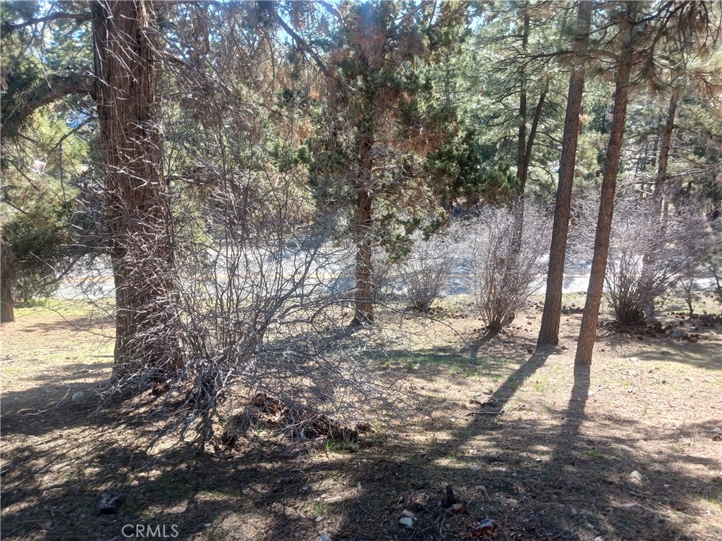 0 Big Bear Blvd Property Photo 2