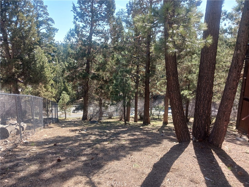0 Big Bear Blvd Property Photo 3