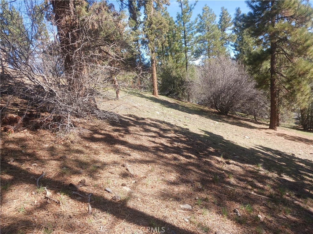 0 Big Bear Blvd Property Photo 4