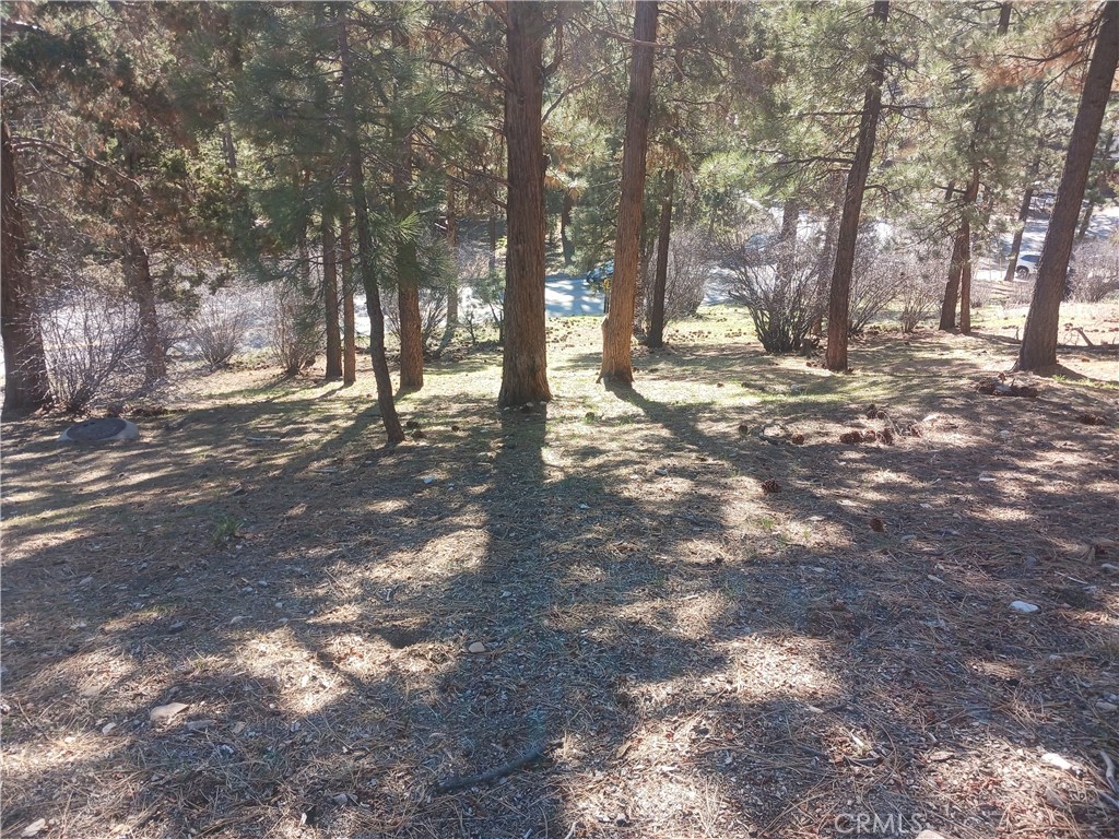 0 Big Bear Blvd Property Photo 5