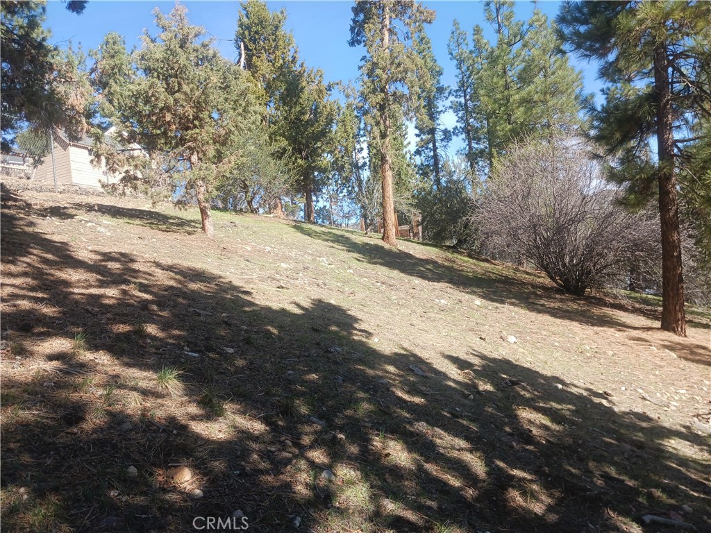 0 Big Bear Blvd Property Photo 6
