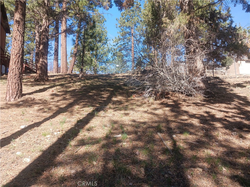 0 Big Bear Blvd Property Photo 7