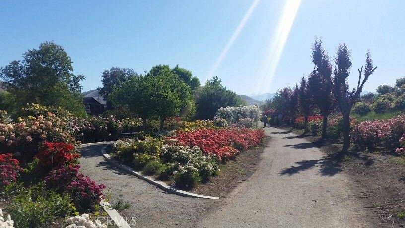 0 Narango Boulevard Property Photo 3