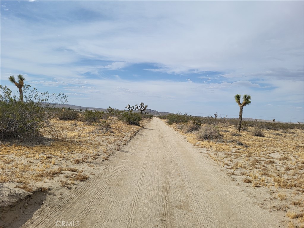 0 Vinton Street Property Photo