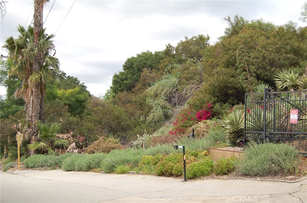 0 Broken Spur Road Property Photo 7
