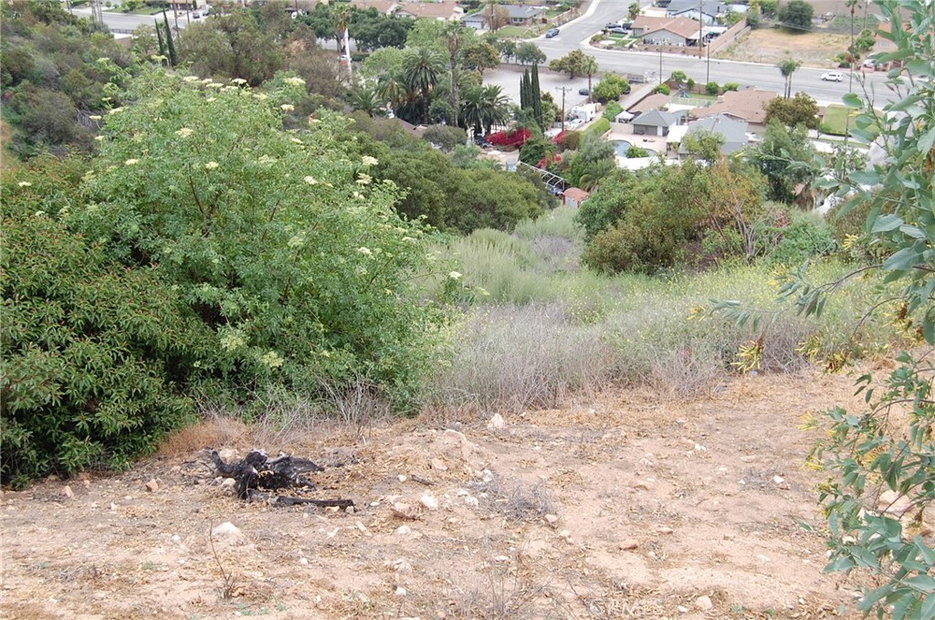 0 Broken Spur Road Property Photo 9