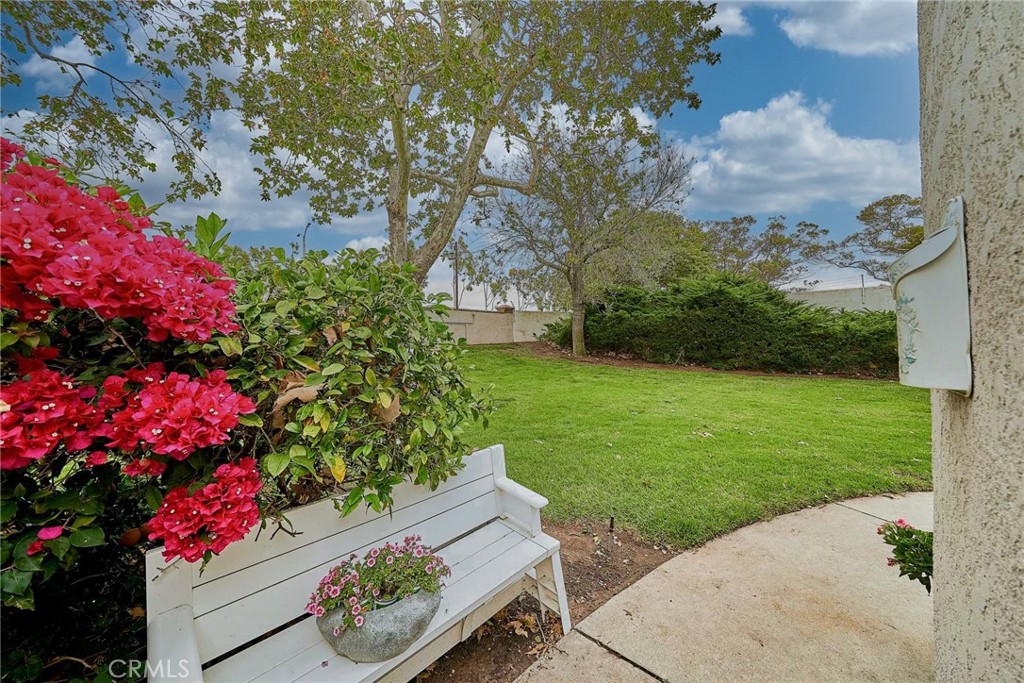 3004 Via Buena Vista C Property Photo 29