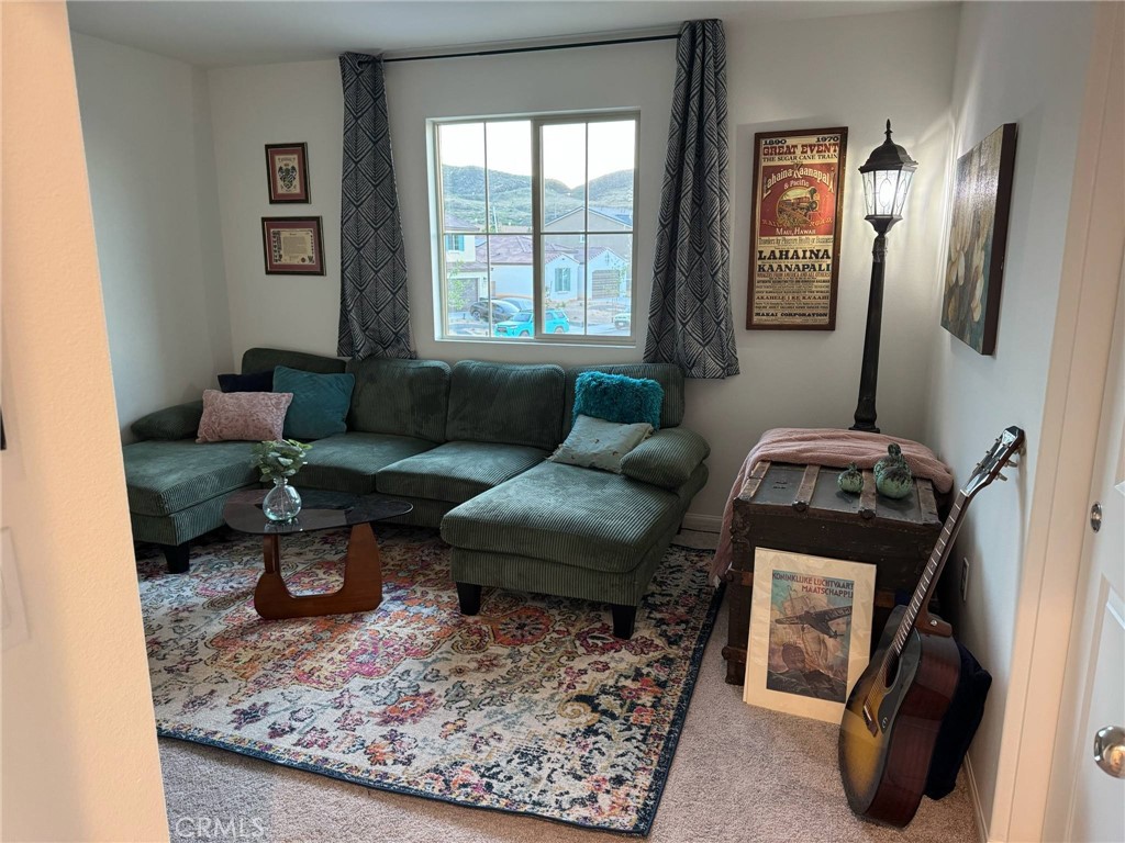 27214 Felsic Drive Property Photo 25