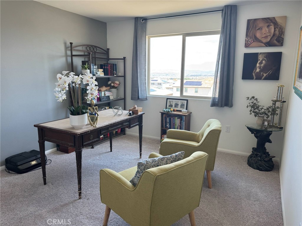 27214 Felsic Drive Property Photo 32