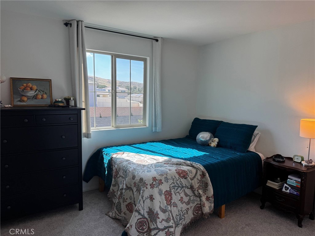 27214 Felsic Drive Property Photo 34