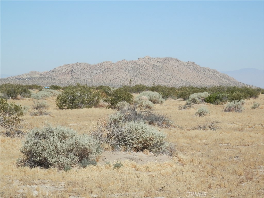 0 E Avenue N Property Photo 14