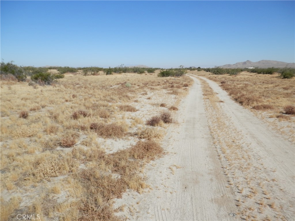 0 Gaceta Avenue Property Photo 2