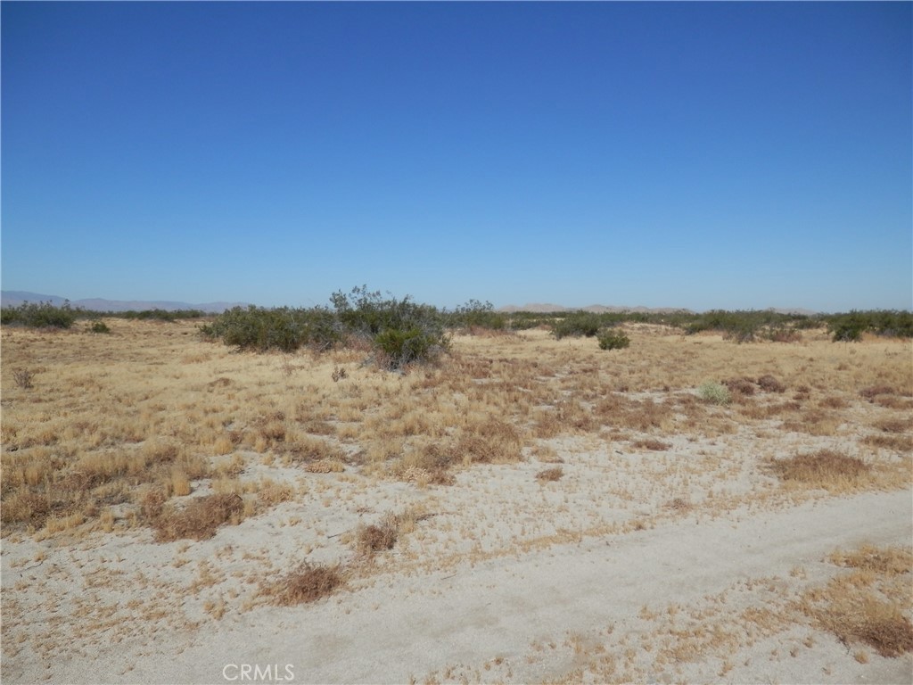 0 Gaceta Avenue Property Photo 3