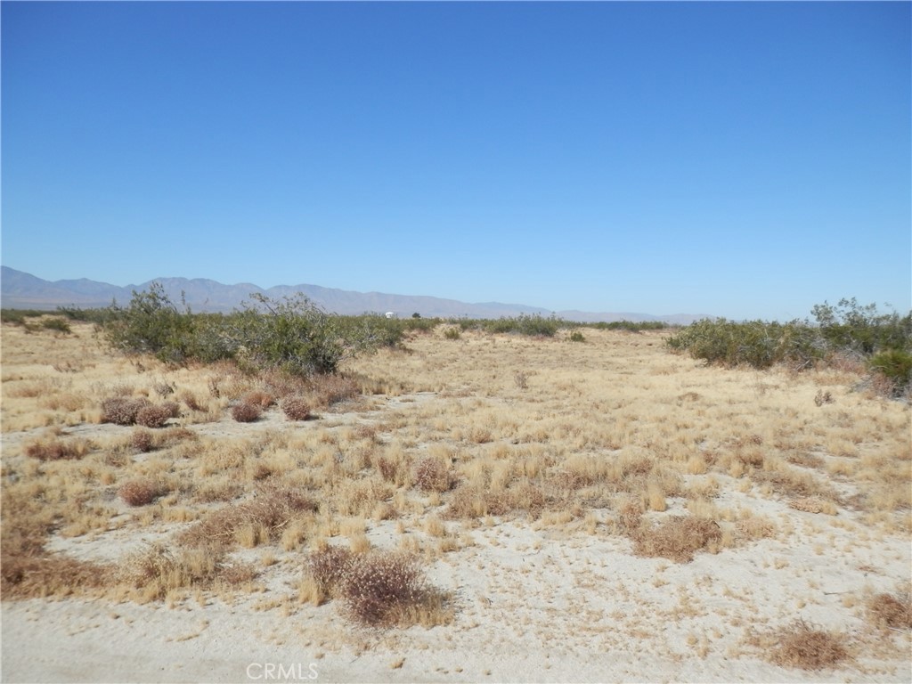 0 Gaceta Avenue Property Photo 4