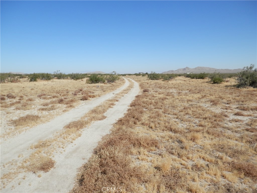 0 Gaceta Avenue Property Photo 6