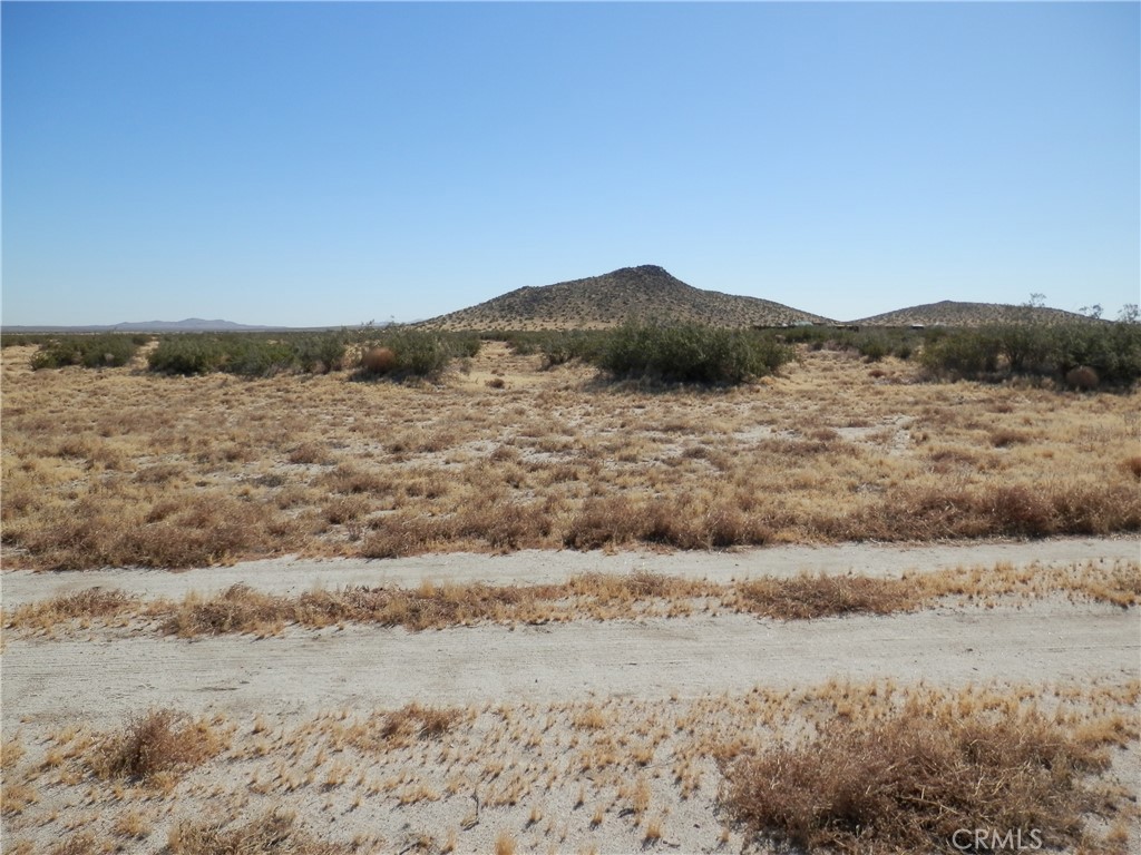 0 Gaceta Avenue Property Photo 9