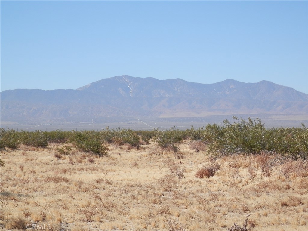 0 Gaceta Avenue Property Photo 11