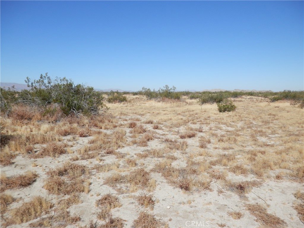 0 Gaceta Avenue Property Photo 12