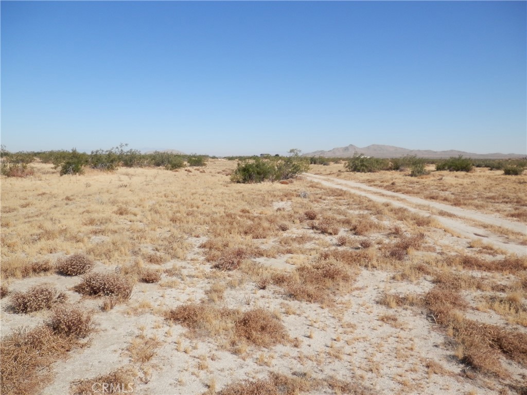 0 Gaceta Avenue Property Photo 13