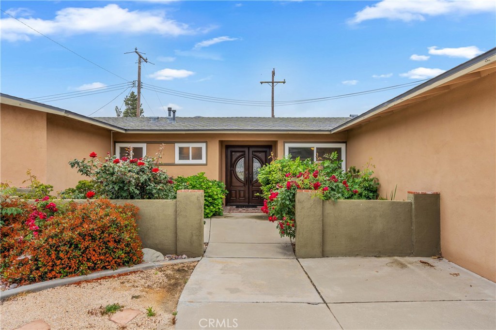 8535 La Vine Street Property Photo 37