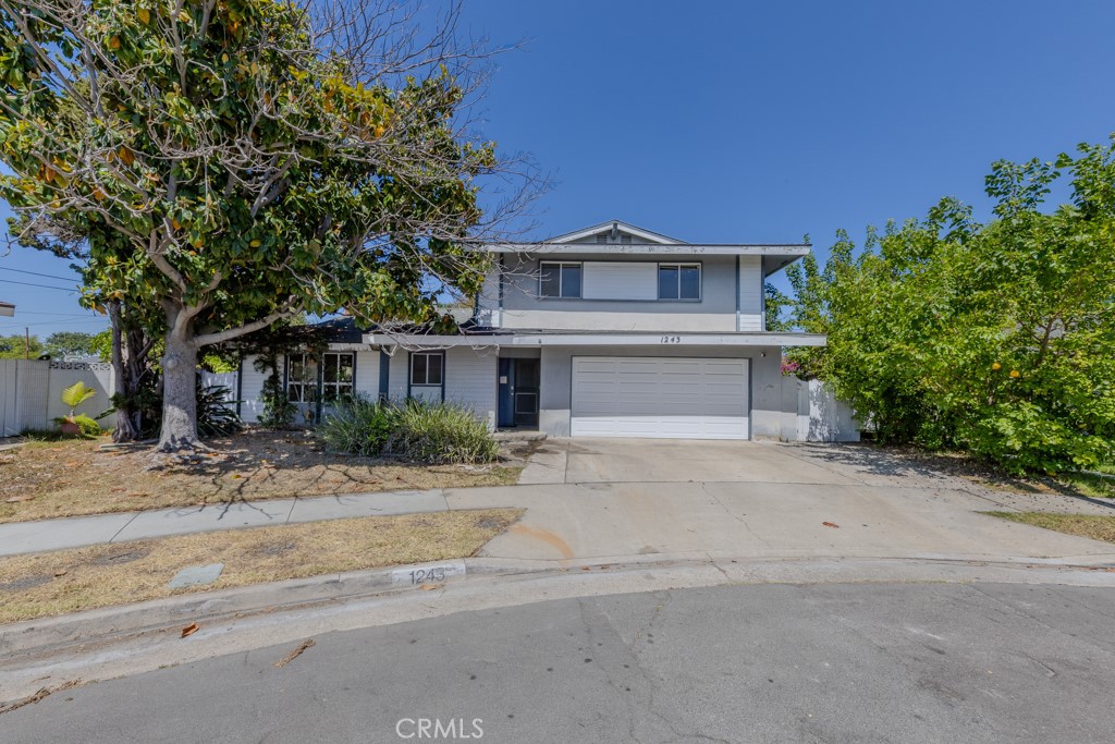 1243 E Live Oak Court Property Photo