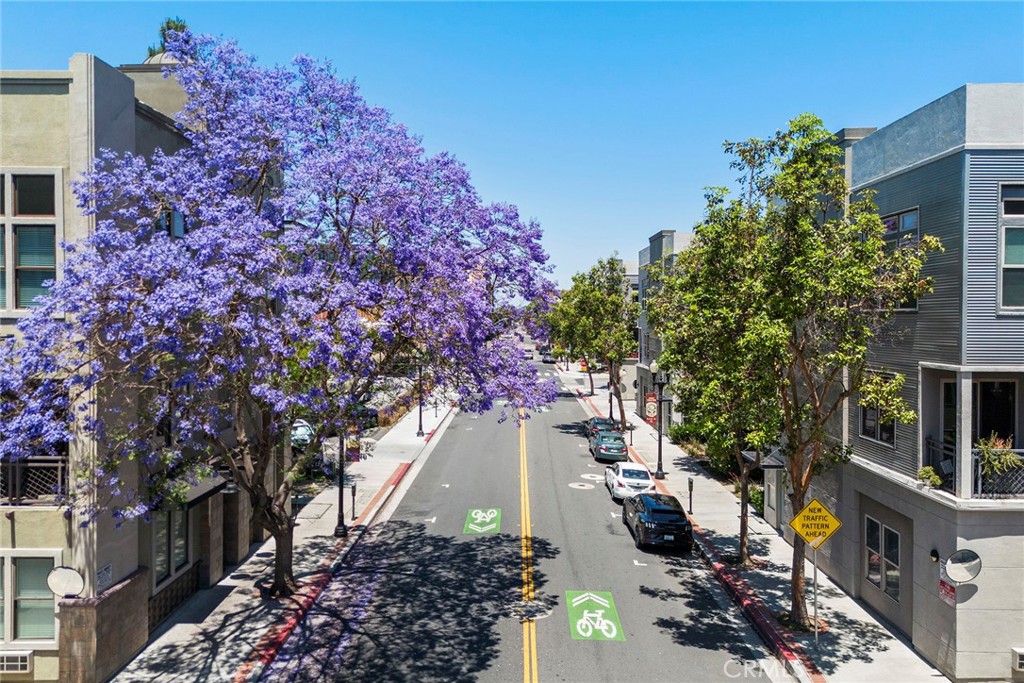 253 N Bush Street Property Photo 14