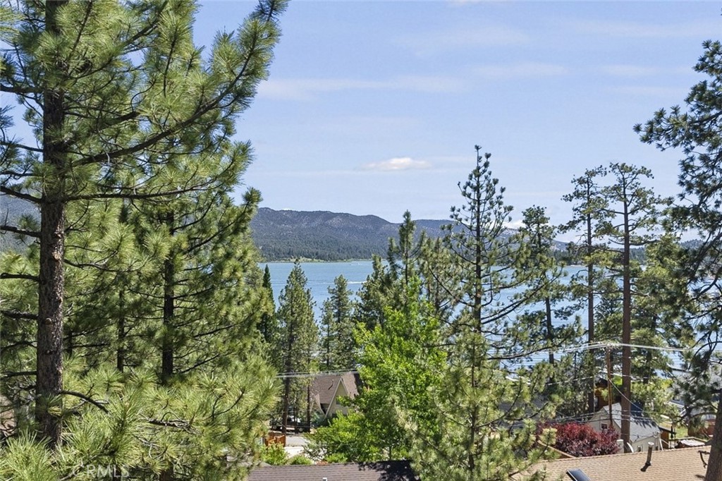 40258 Narrow Lane Property Photo 6