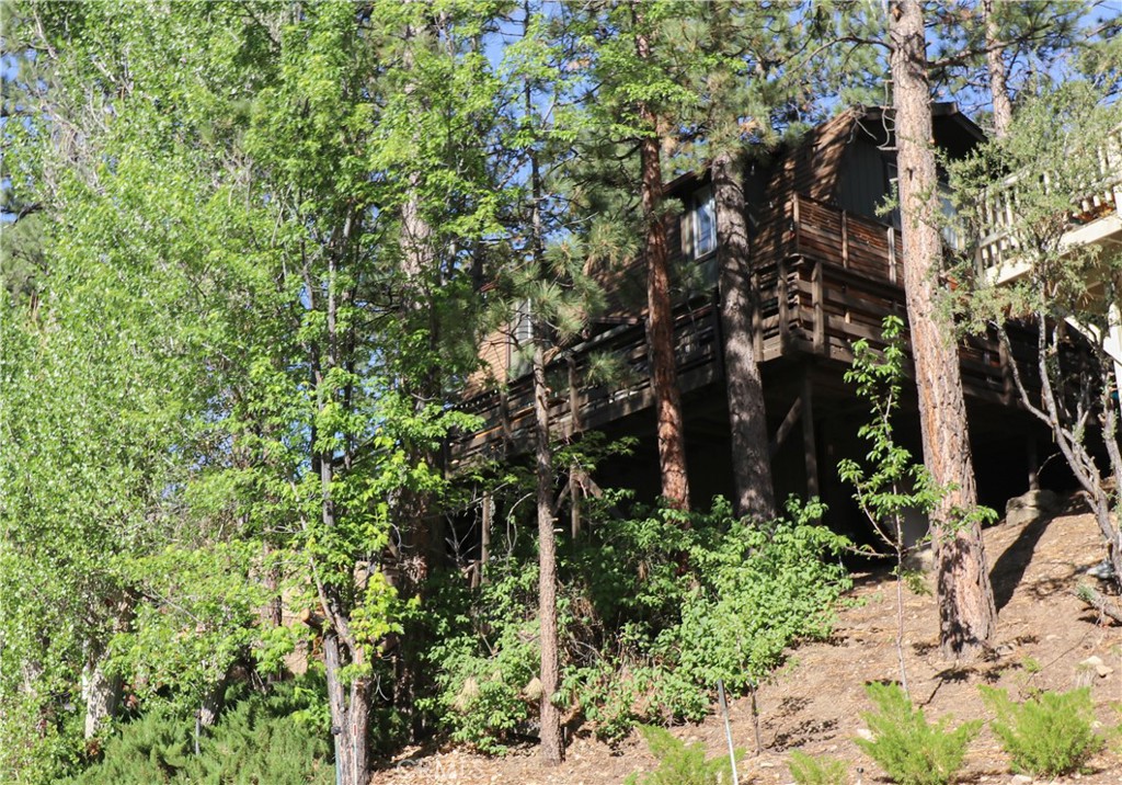 437 Gold Mountain Drive Property Photo 2