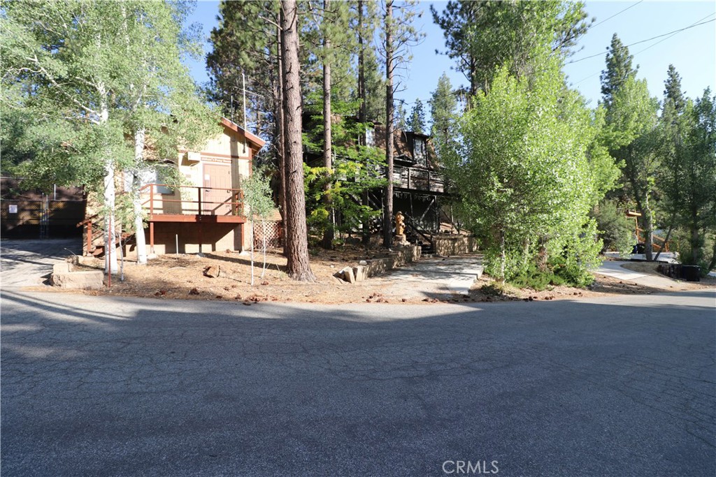437 Gold Mountain Drive Property Photo 6