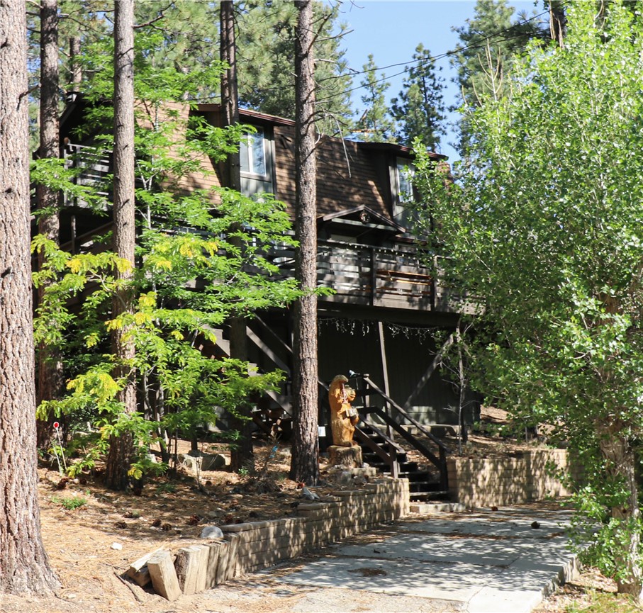 437 Gold Mountain Drive Property Photo 11