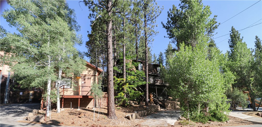 437 Gold Mountain Drive Property Photo 12