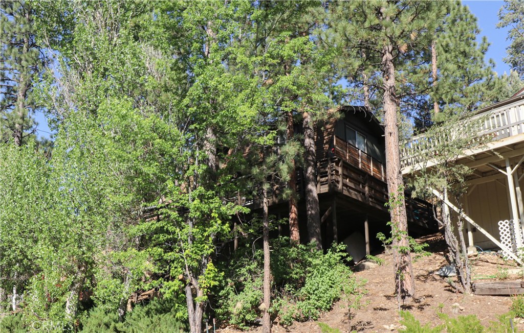437 Gold Mountain Drive Property Photo 13
