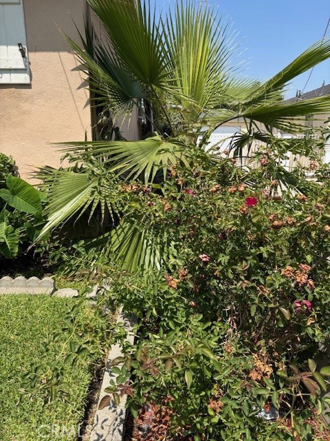 10847 La Mirada Boulevard Property Photo 9