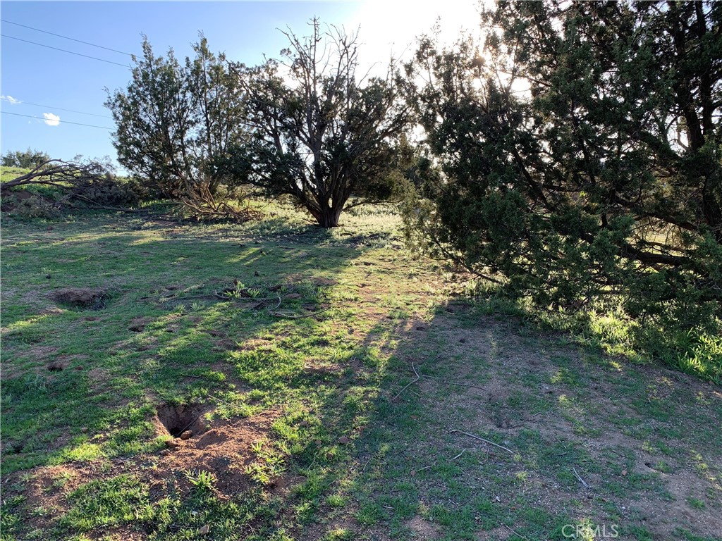 0 Niro Road Property Photo 32