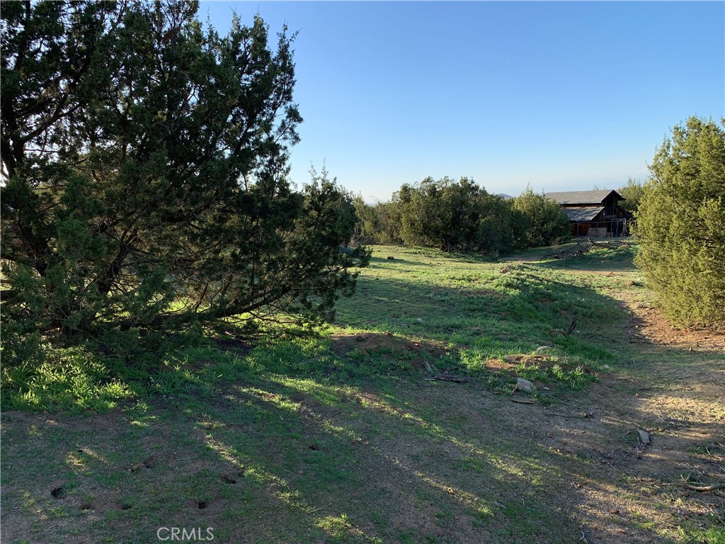 0 Niro Road Property Photo 33
