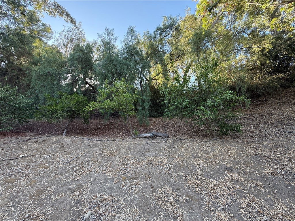 2240 Valle Drive Property Photo 3