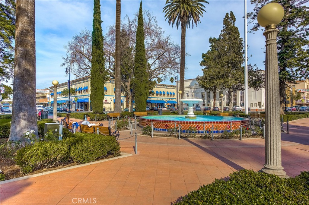 313 E Palmyra Property Photo 61